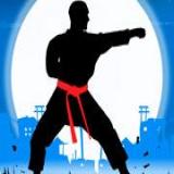 Karate Fighter Real Battle